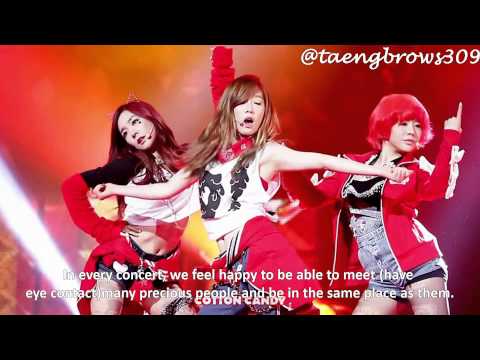 [ENG SUB] 130421 SNSD Taeyeon's Thank You Speech @ Last 2nd Japan Arena Tour