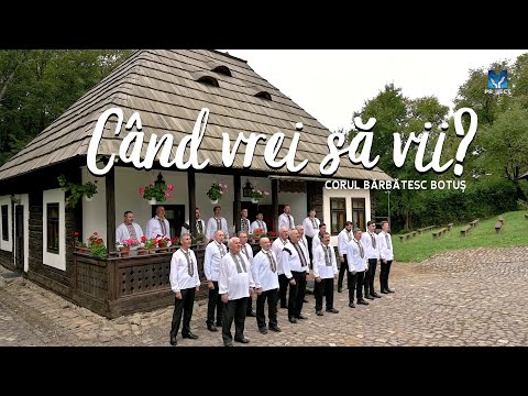 "When do you want to come?" - Botuș 4K Male Choir | Muzica ProiectM