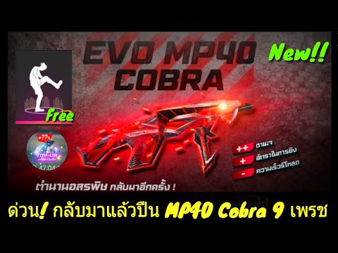 ฟีฟายฟรี