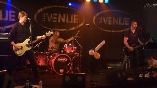 Captain Black - Greetings from shitsville -Live at the venue 31/12/11