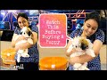 🤔 7 Things To Know Before Getting A ShihTzu || Tamil || Pavi's Pawdcast 🐾
