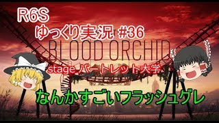 ［ゆっくり実況］PC版レインボーシックスシージ#36　フラーッシュ！