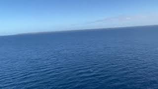 Day 4 - 21/11/2023- Approaching Lifou Island - Pacific Encounter
