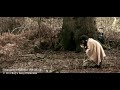 Saint Kateri Tekakwitha Film Clip