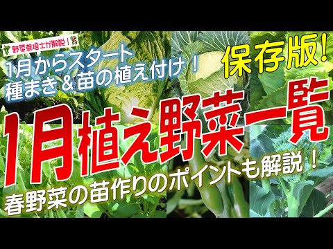 年間平均気温の菜園耐寒性ゾーンに6月に何を植えるか