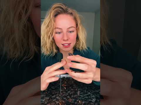 #JasonDeruloTV // I Made Chocolate #GotPermissionToPost From @orim #SlowLow