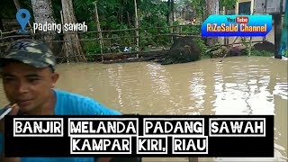 preview picture of video 'Sungai subayang banjir | Kampar kiri | Riau'