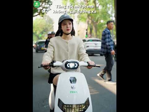 Xe điện Pega Wings