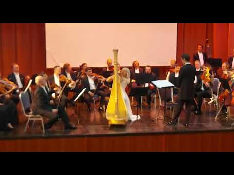 P.I.Tchaikovsky Valse of Flowers harp cadenza