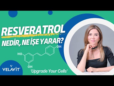 Fransız Paradoksu ve resveratrol'ün popülaritesi