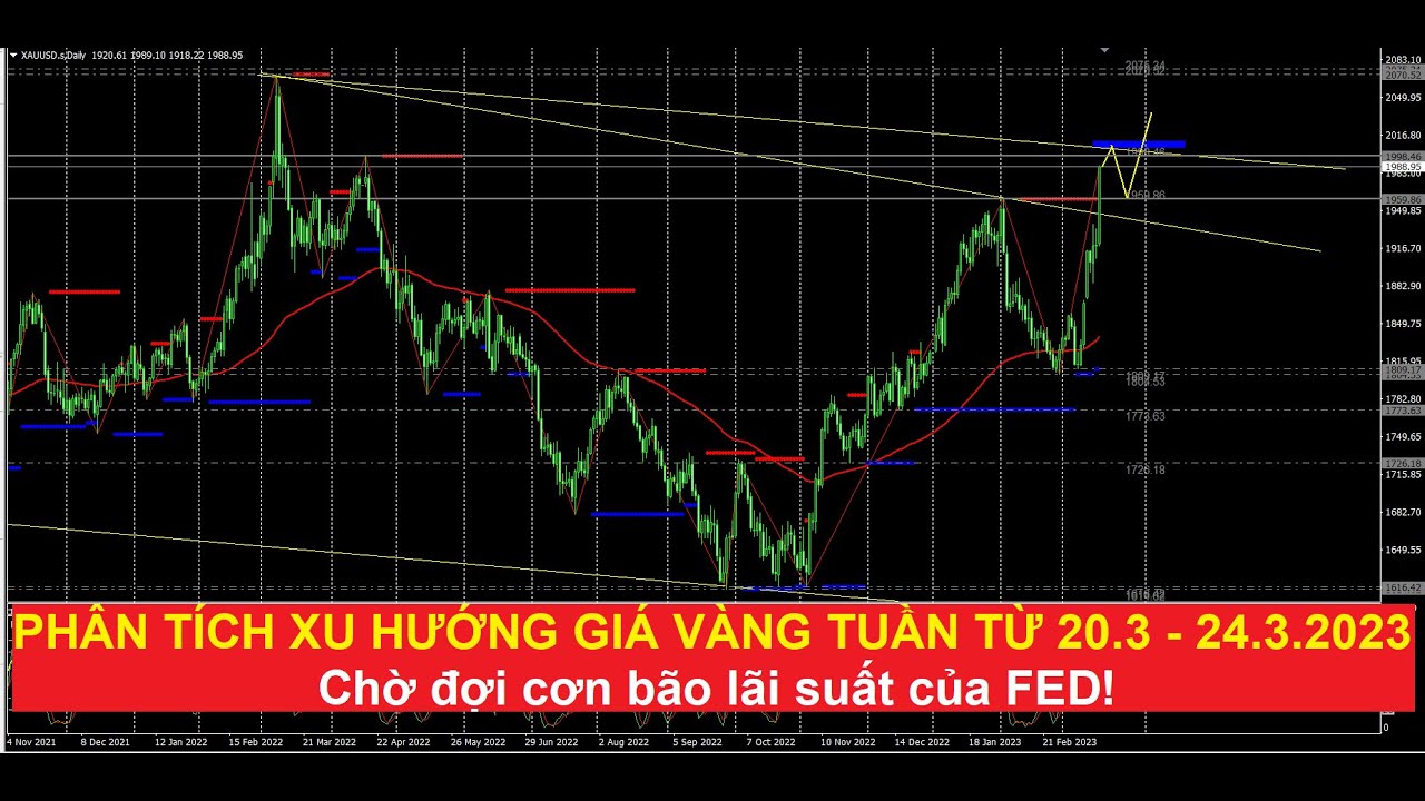 Video phân tích xu hướng giá vàng tuần tới từ ngày 20/3 - 24/3/2023