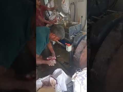 Stainless Steel (SS) Stainless Steel(SS) Flour Kneading Machine