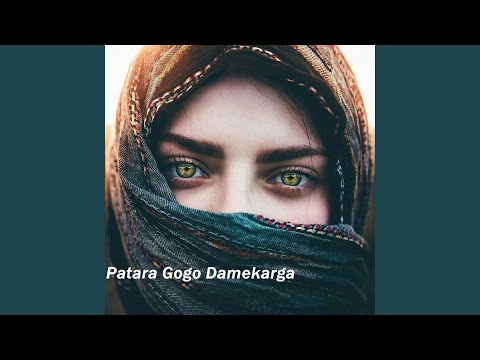 Patara Gogo Damekarga