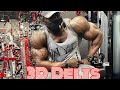 Building a 3D Delts