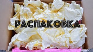 РАСПАКОВКА ☆ Посылка из магазина ТОРТОМАСТЕР