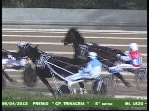 Paper Caf e Davide Di Stefano - G.P.Trinacria 2013 "Mem. Gius.Migliore"