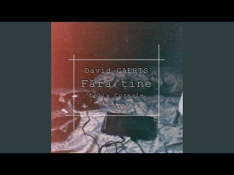 Fara tine (feat. David Gaeris & Delia Corsale)