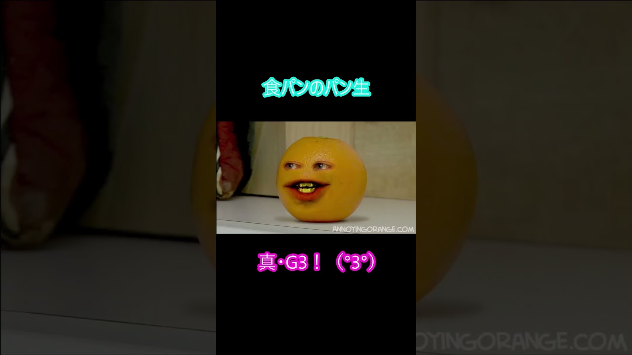 食パンのパン生（人生）