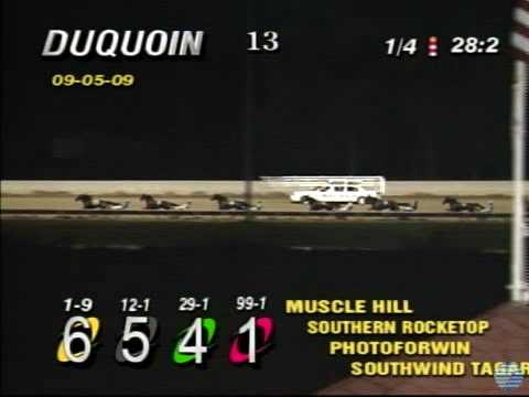 Muscle Hill - 2009 World Trotting Derby