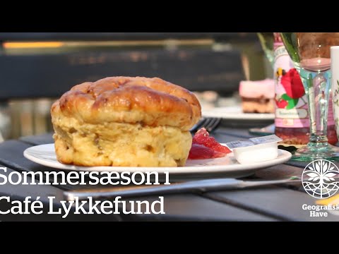 Havehygge på terassen - Sommersæson i Geografisk Have