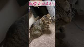 この動画は親バカにはたまりません🙄❣️