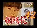 中視花系列『姻緣花』ep42 1997年