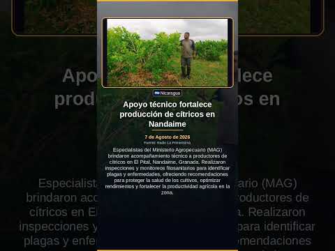 Apoyo técnico fortalece producción de cítricos en Nandaime