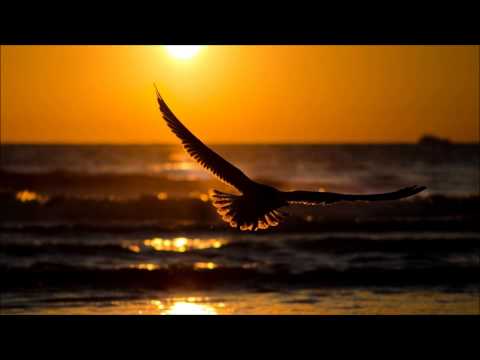 Claudia Cazacu ft. Audrey Gallagher - Freefalling