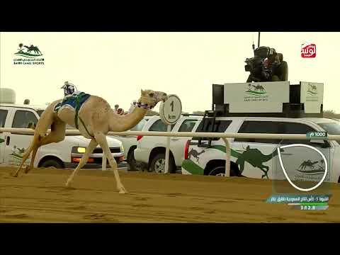 ش 5 ثبوت لـ نايف صلاح مصلح السهلي 5:03:98 ، كأس الاتحاد السعودي 2026/10/01  الطايف حقايق 