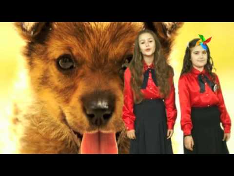 ZAGREBAČKI MALIŠANI - Izgubljeni psić