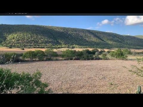 VEJA: Um vídeo pra quem ama a Natureza! Adustina, Sertão baiano!