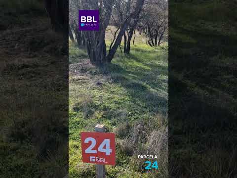 🏡 Parcela N°24 | Hacienda Cauquenes 🌿 A menos de 1 hora de la playa | Rol Propio