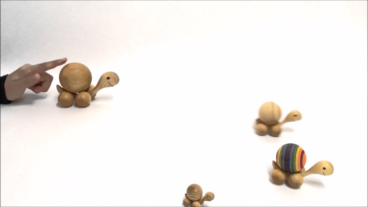 コロコロかめさん