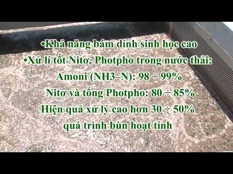 CÔNG NGHỆ XỬ LÝ NƯỚC THẢI MBBR