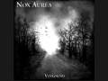 Nox Aurea - Odium Divinum 