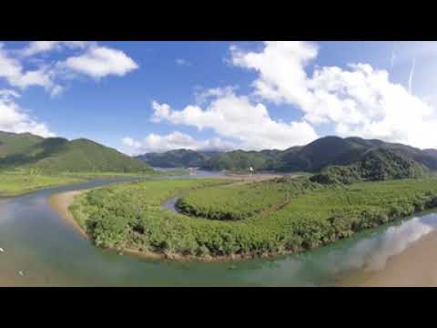 【空の瞳】奄美大島VR動画