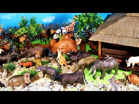 Fun Dioramas - Carnivorous, Herbivorous, and Omnivorous Animals  - Learn Animal Names