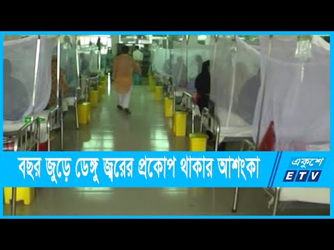 বছরজুড়ে থাকতে পারে ডেঙ্গুর প্রকোপ