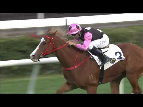 31/1/2021 (392) Beauty Applause -   J Moreira