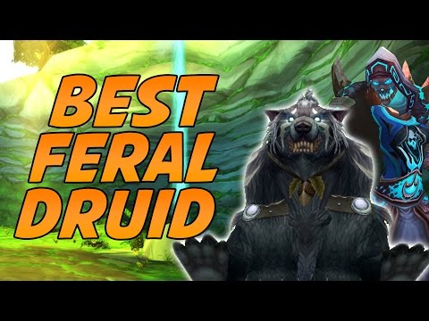 Cartoonz Plays With the BEST Feral Druid
