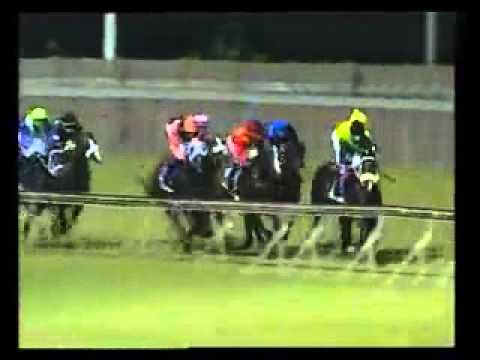 2012-04-17 Greyville - race 2