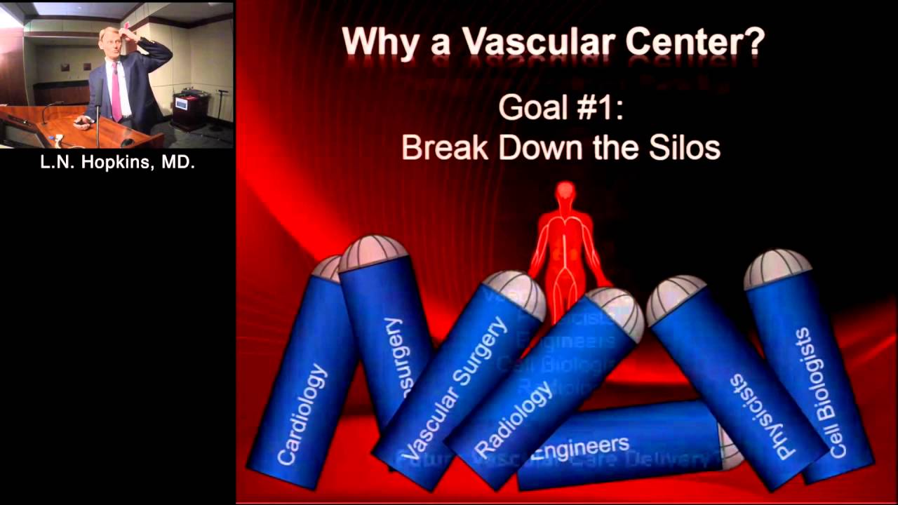 Innovation in Cardiovascular Disease Technology and Care Delivery (L. Nelson Hopkins, MD)