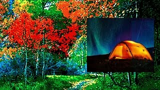 Rain Sounds Tent  Fall Asleep Works Every Time  #Relax, Rain