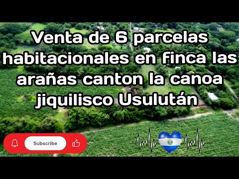 6 parcelas en finca las arañas canton la canoa jiquilisco Usulután 