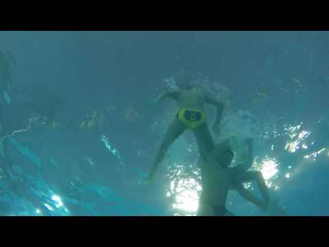 Failed attempt to drown our coach