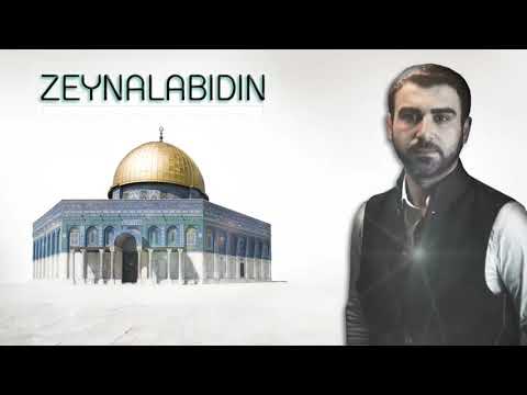 Sehriyar Mecidi - Zeynelabidin