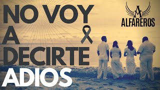 Video No Voy a Decirte Adiós de Alfareros