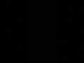 Listening To My Parents At Night
