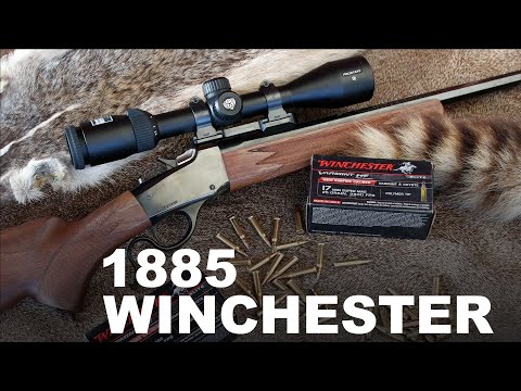 1885 Winchester-Gewehr im Jahr 2021