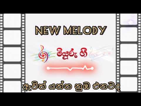 ඇවිත් යන්න නුඹ එනවද  | Awith Yanna Nuba Enawada - New Melody